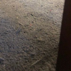 Meet your Posher, Jadynn